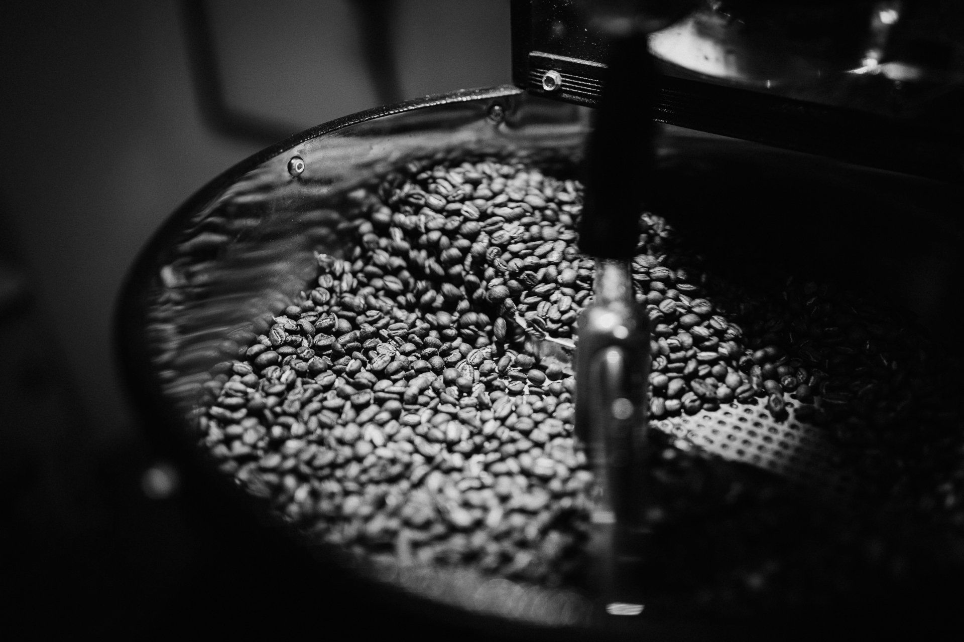 Granos de café tostados
